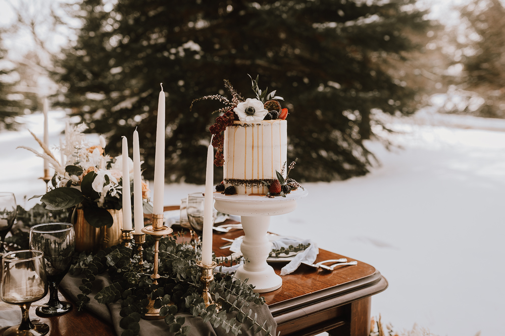 winter cabin elopement