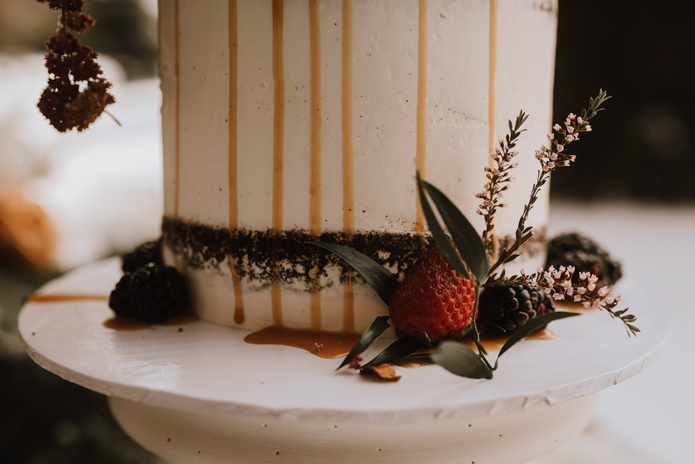 winter cabin elopement